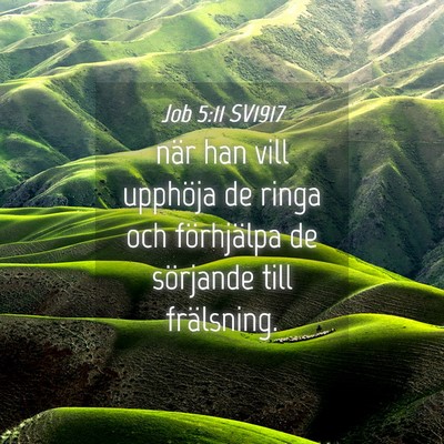 Picture 04 - Job 5:11 SV1917 - när han vill upphöja de ringa och förhjälpa - Bible Verse Picture