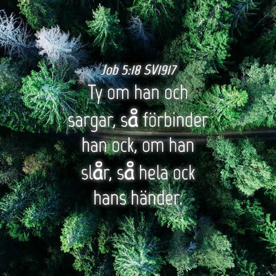 Picture 04 - Job 5:18 SV1917 - Ty om han och sargar, så förbinder han ock, om - Bible Verse Picture