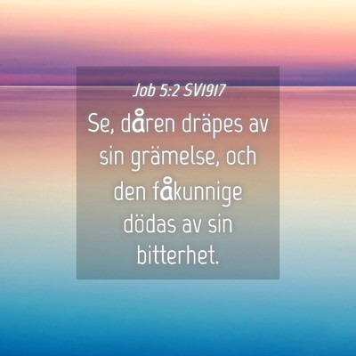 Picture 04 - Job 5:2 SV1917 - Se, dåren dräpes av sin grämelse, och den - Bible Verse Picture