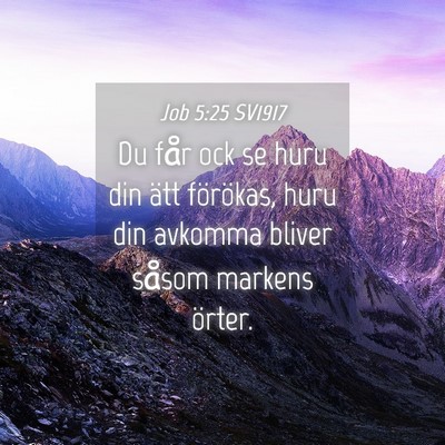 Picture 04 - Job 5:25 SV1917 - Du får ock se huru din ätt förökas, huru din - Bible Verse Picture