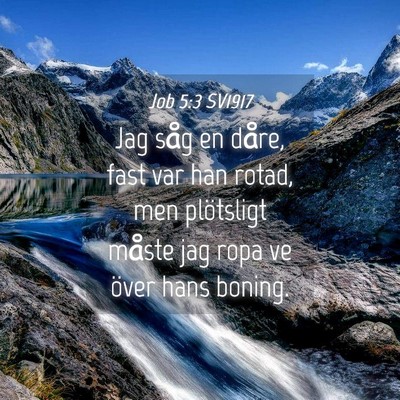 Picture 04 - Job 5:3 SV1917 - Jag såg en dåre, fast var han rotad, men - Bible Verse Picture