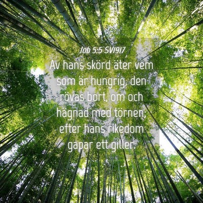 Picture 04 - Job 5:5 SV1917 - Av hans skörd äter vem som är hungrig, den - Bible Verse Picture