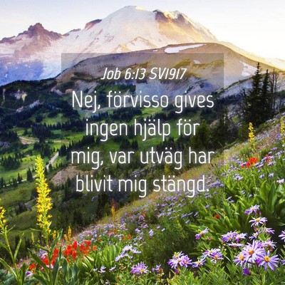 Picture 04 - Job 6:13 SV1917 - Nej, förvisso gives ingen hjälp för mig, var - Bible Verse Picture