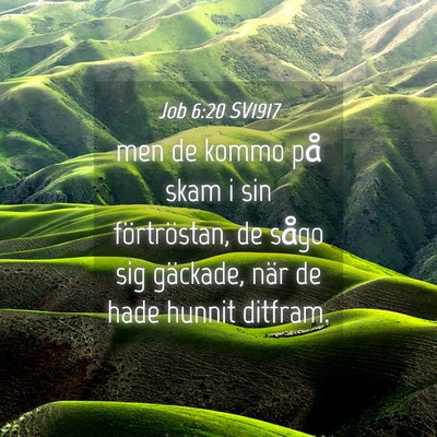 Picture 04 - Job 6:20 SV1917 - men de kommo på skam i sin förtröstan, de - Bible Verse Picture
