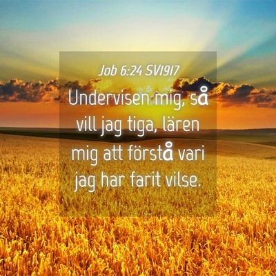 Picture 04 - Job 6:24 SV1917 - Undervisen mig, så vill jag tiga, lären mig att - Bible Verse Picture