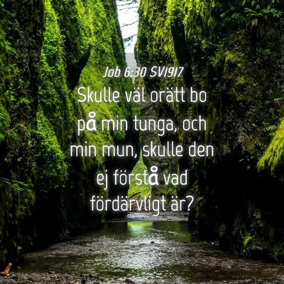 Picture 04 - Job 6:30 SV1917 - Skulle väl orätt bo på min tunga, och min mun, - Bible Verse Picture