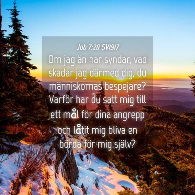 Picture 04 - Job 7:20 SV1917 - Om jag än har syndar, vad skadar jag därmed - Bible Verse Picture