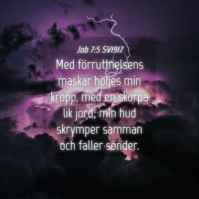 Picture 04 - Job 7:5 SV1917 - Med förruttnelsens maskar höljes min kropp, med - Bible Verse Picture