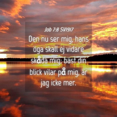 Picture 04 - Job 7:8 SV1917 - Den nu ser mig, hans öga skall ej vidare skåda - Bible Verse Picture