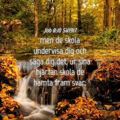 Picture 04 - Job 8:10 SV1917 - men de skola undervisa dig och säga dig det, ur - Bible Verse Picture