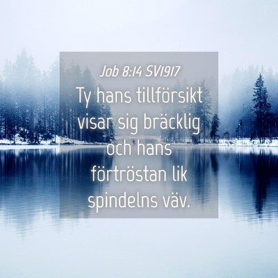 Picture 04 - Job 8:14 SV1917 - Ty hans tillförsikt visar sig bräcklig och hans - Bible Verse Picture