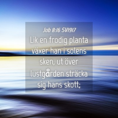 Picture 04 - Job 8:16 SV1917 - Lik en frodig planta växer han i solens sken, ut - Bible Verse Picture