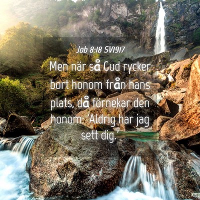 Picture 04 - Job 8:18 SV1917 - Men när så Gud rycker bort honom från hans - Bible Verse Picture