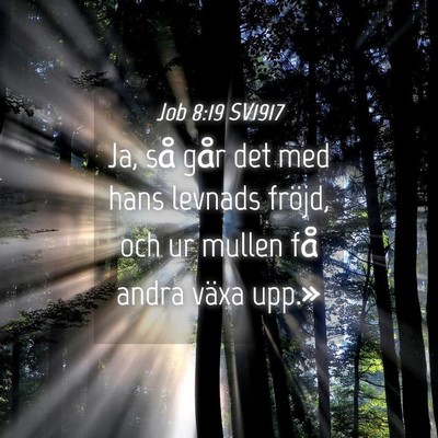 Picture 04 - Job 8:19 SV1917 - Ja, så går det med hans levnads fröjd, och ur - Bible Verse Picture