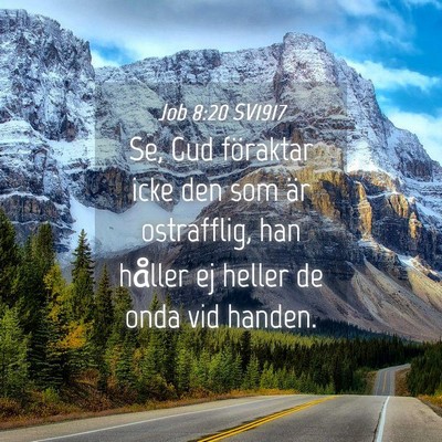 Picture 04 - Job 8:20 SV1917 - Se, Gud föraktar icke den som är ostrafflig, - Bible Verse Picture