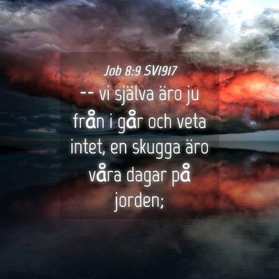 Picture 04 - Job 8:9 SV1917 - -- vi själva äro ju från i går och veta - Bible Verse Picture