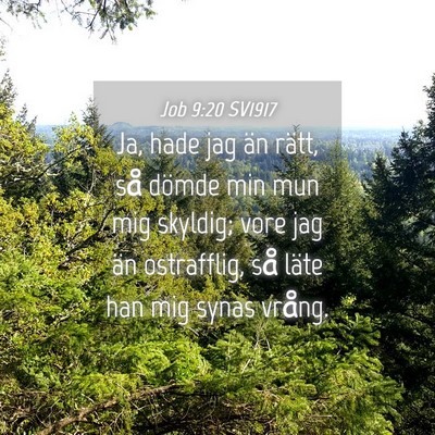 Picture 04 - Job 9:20 SV1917 - Ja, hade jag än rätt, så dömde min mun mig - Bible Verse Picture