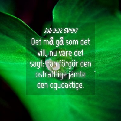 Picture 04 - Job 9:22 SV1917 - Det må gå som det vill, nu vare det sagt: han - Bible Verse Picture