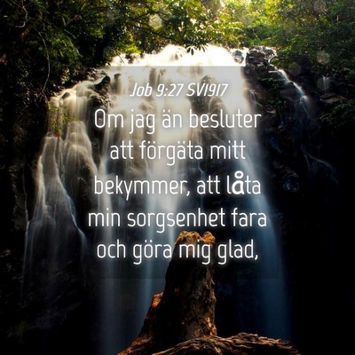 Picture 04 - Job 9:27 SV1917 - Om jag än besluter att förgäta mitt bekymmer, - Bible Verse Picture