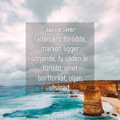 Picture 04 - Joel 1:10 SV1917 - Fälten äro förödda, marken ligger sörjande, - Bible Verse Picture