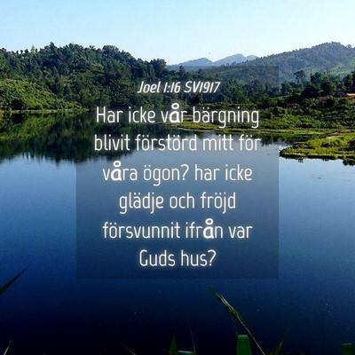 Picture 04 - Joel 1:16 SV1917 - Har icke vår bärgning blivit förstörd mitt - Bible Verse Picture