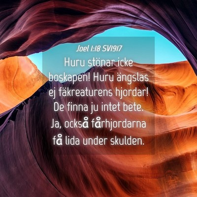 Picture 04 - Joel 1:18 SV1917 - Huru stönar icke boskapen! Huru ängslas ej - Bible Verse Picture