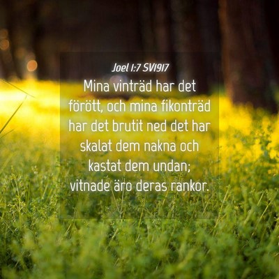 Picture 04 - Joel 1:7 SV1917 - Mina vinträd har det förött, och mina - Bible Verse Picture