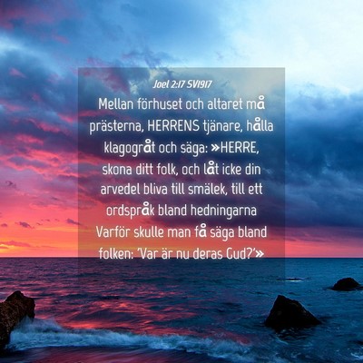 Picture 04 - Joel 2:17 SV1917 - Mellan förhuset och altaret må prästerna, - Bible Verse Picture