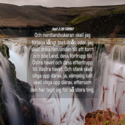 Picture 04 - Joel 2:20 SV1917 - Och nordlandsskaran skall jag förjaga långt - Bible Verse Picture