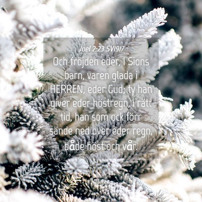 Picture 04 - Joel 2:23 SV1917 - Och fröjden eder, I Sions barn, varen glada i - Bible Verse Picture