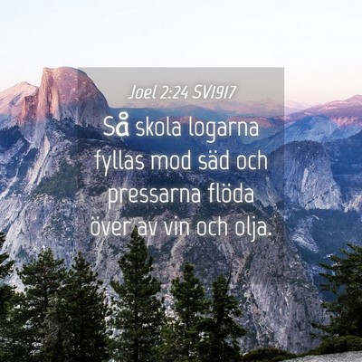 Picture 04 - Joel 2:24 SV1917 - Så skola logarna fyllas mod säd och pressarna - Bible Verse Picture