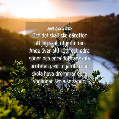 Picture 04 - Joel 2:28 SV1917 - Och det skall ske därefter att jag skall utgjuta - Bible Verse Picture