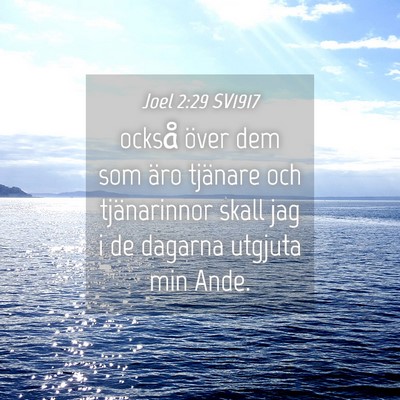 Picture 04 - Joel 2:29 SV1917 - också över dem som äro tjänare och - Bible Verse Picture