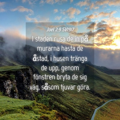 Picture 04 - Joel 2:9 SV1917 - I staden rusa de in på murarna hasta de åstad, - Bible Verse Picture