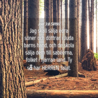 Picture 04 - Joel 3:8 SV1917 - Jag skall sälja edra söner och döttrar i Juda - Bible Verse Picture