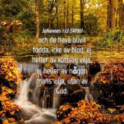 Picture 04 - Johannes 1:13 SV1917 - och de hava blivit födda, icke av blod, ej - Bible Verse Picture