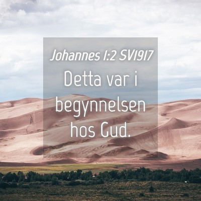 Picture 04 - Johannes 1:2 SV1917 - Detta var i begynnelsen hos - Bible Verse Picture