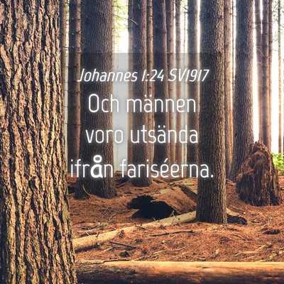 Picture 04 - Johannes 1:24 SV1917 - Och männen voro utsända ifrån - Bible Verse Picture