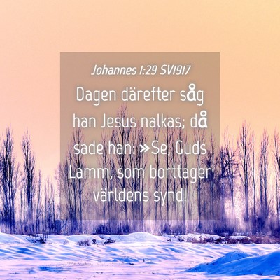 Picture 04 - Johannes 1:29 SV1917 - Dagen därefter såg han Jesus nalkas; då sade - Bible Verse Picture