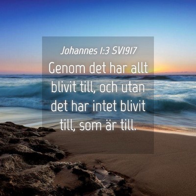 Picture 04 - Johannes 1:3 SV1917 - Genom det har allt blivit till, och utan det har - Bible Verse Picture