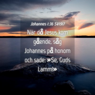 Picture 04 - Johannes 1:36 SV1917 - När då Jesus kom gående, såg Johannes på - Bible Verse Picture