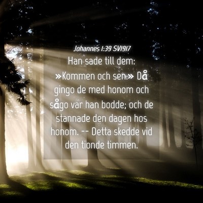 Picture 04 - Johannes 1:39 SV1917 - Han sade till dem: »Kommen och sen.» Då gingo - Bible Verse Picture
