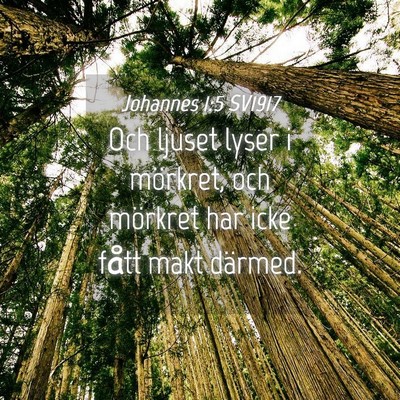 Picture 04 - Johannes 1:5 SV1917 - Och ljuset lyser i mörkret, och mörkret har - Bible Verse Picture