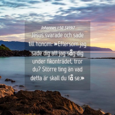 Picture 04 - Johannes 1:50 SV1917 - Jesus svarade och sade till honom: »Eftersom jag - Bible Verse Picture