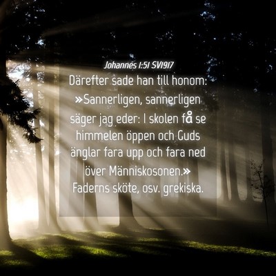 Picture 04 - Johannes 1:51 SV1917 - Därefter sade han till honom: »Sannerligen, - Bible Verse Picture