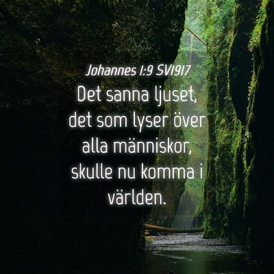 Picture 04 - Johannes 1:9 SV1917 - Det sanna ljuset, det som lyser över alla - Bible Verse Picture