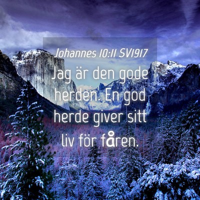 Picture 04 - Johannes 10:11 SV1917 - Jag är den gode herden. En god herde giver sitt - Bible Verse Picture