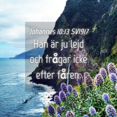 Picture 04 - Johannes 10:13 SV1917 - Han är ju lejd och frågar icke efter - Bible Verse Picture