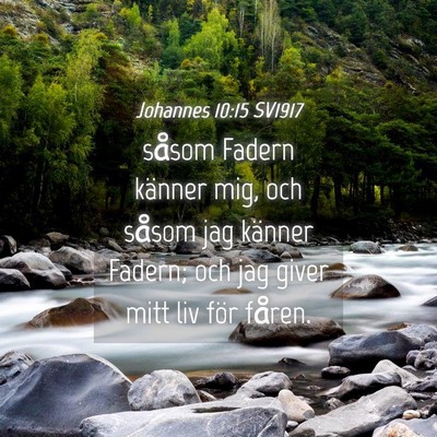 Picture 04 - Johannes 10:15 SV1917 - såsom Fadern känner mig, och såsom jag känner - Bible Verse Picture