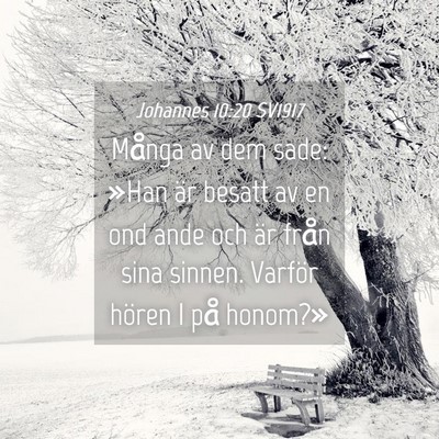 Picture 04 - Johannes 10:20 SV1917 - Många av dem sade: »Han är besatt av en ond - Bible Verse Picture